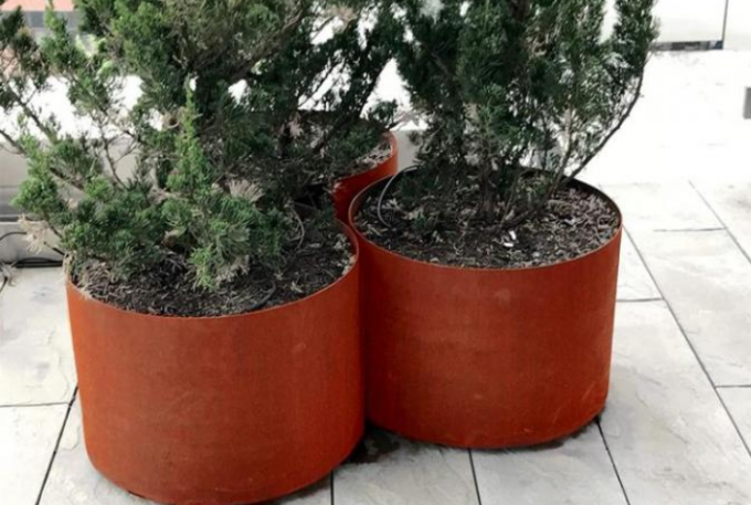 Plantadores redondos de acero de la flor del metal de Corten del pote del cilindro del hogar y del jardín