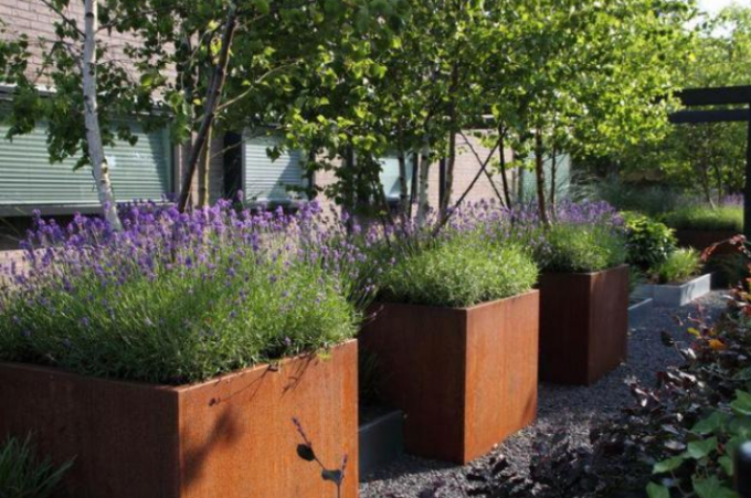 Cajas grandes del plantador de Rusty Square Corten Steel Flower de los potes del jardín del metal