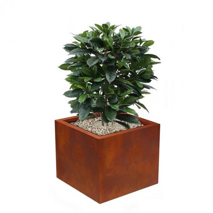 Plantador de acero de Corten del jardín de la fábrica de maceta del metal de la caja directa de la planta