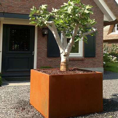 La caja grande del plantador del palmo de acero de Corten del jardín aherrumbró resistiendo al acero para el cortijo
