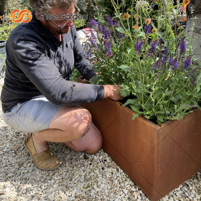 los plantadores vegetales de acero de 1200*500*600m m Corten aherrumbraron las cajas del plantador del metal