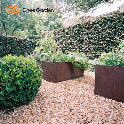 los plantadores vegetales de acero de 1200*500*600m m Corten aherrumbraron las cajas del plantador del metal