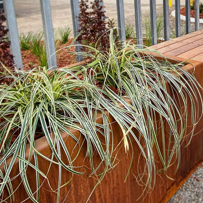 600m m 700m m Tin Planter For Tree Planting rectangular 1000m m al aire libre