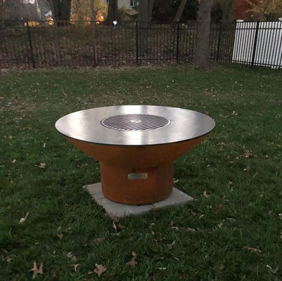 El carbón de leña aprovisionó de combustible las parrillas al aire libre del Bbq de la cocina del metal a prueba de mal tiempo para las verduras de la carne