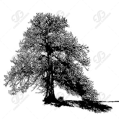El acero de Corten aherrumbró árbol al aire libre realista del metal esculpe decorativo
