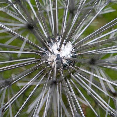 jardín de acero inoxidable de Art Electroplate Dandelion Shape For de la yarda 304 316