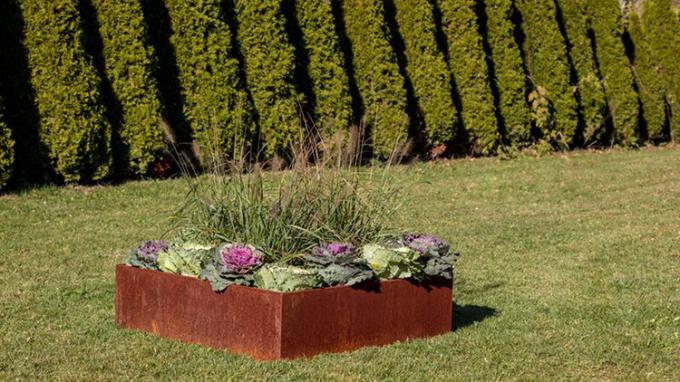 Borde al aire libre inmediato aumentado de acero del jardín del plantador del metal del metal 65l*65w*30h cm del plantador de la cama del jardín de la liquidación