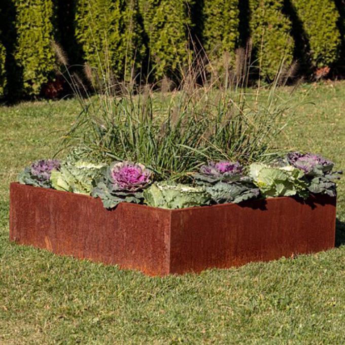 La flor vegetal del plantador del metal que aumenta camas que cultivan un huerto encajona el borde aumentado de acero del jardín