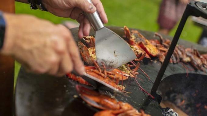 La BARBACOA asa a la parrilla la quema multifuncional de madera del fuego cocinar al aire libre de Plancha del arrabio para la comida campestre de la fiesta de jardín